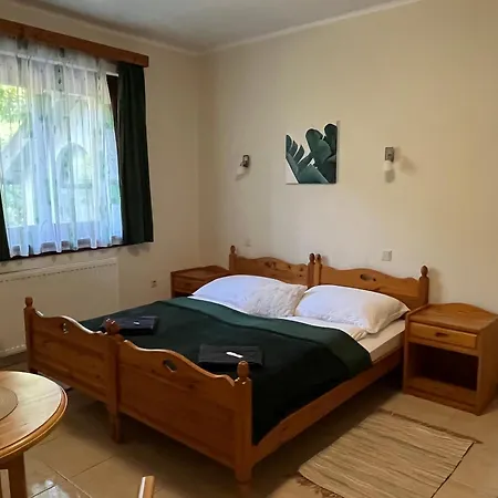 فندق مبيت وإفطار Orsegi Vadasa Panzio 3*