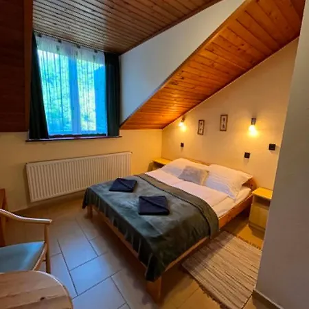 Orsegi Vadasa Panzio فندق مبيت وإفطار