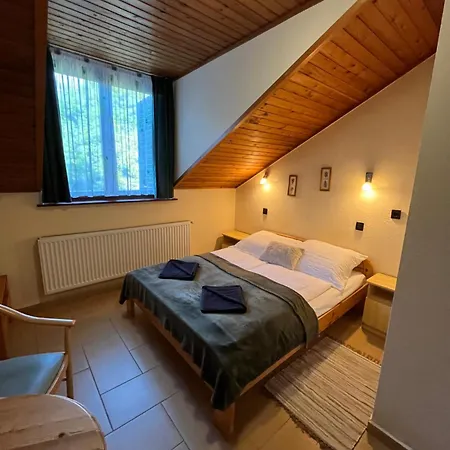 Orsegi Vadasa Panzio 3*