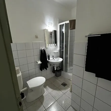 Orsegi Vadasa Panzio 3* Hegyhátszentjakab