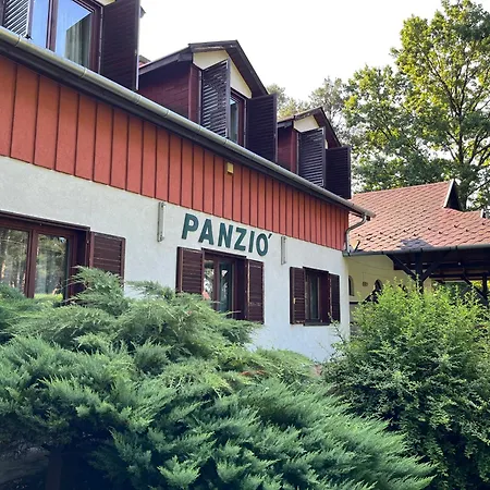 Orsegi Vadasa Panzio